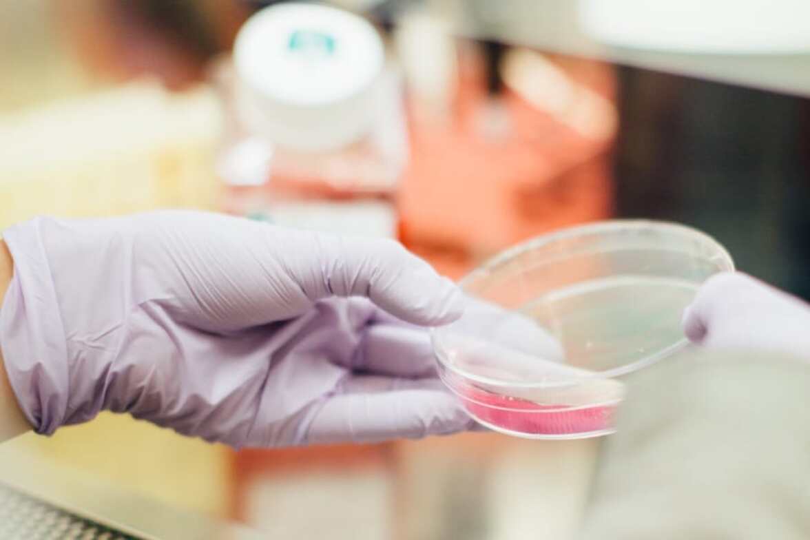 Новые разработки в лечении грамотрицательных инфекций