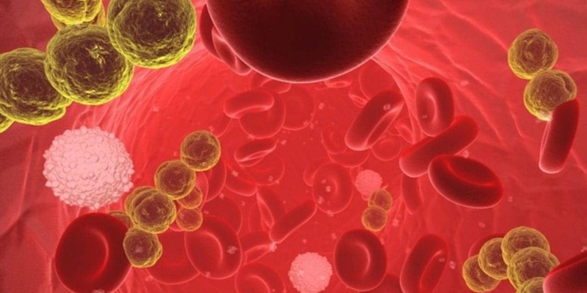 Эффективность и безопасность раннего перехода на пероральную терапию при инфекциях кровотока, вызванных Staphylococcus aureus низкого риска (SABATO): международное открытое исследование с параллельными группами, рандомизированное, контролируемое, не имеющее аналогов