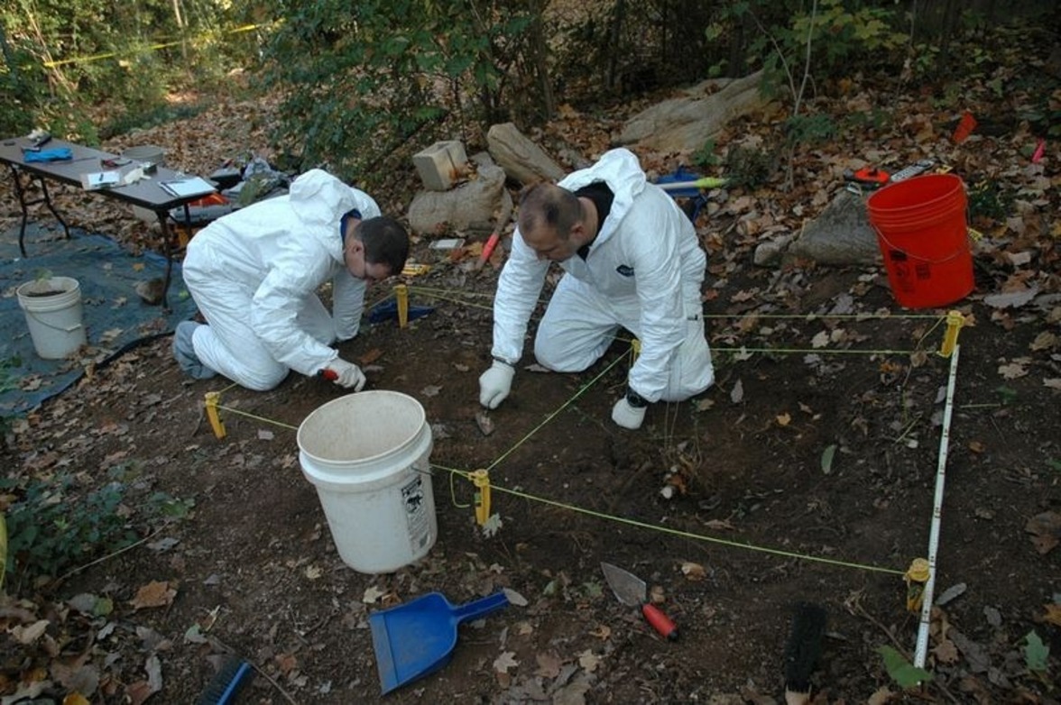 В основе процесса разложения трупов лежит консервативная междоменная микробная сеть, несмотря на переменные условия окружающей среды