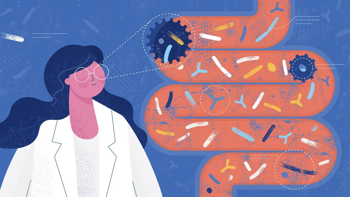 Микробиом кишечника реагирует на изменение статуса женских половых гормонов и усугубляет метаболическую дисфункцию