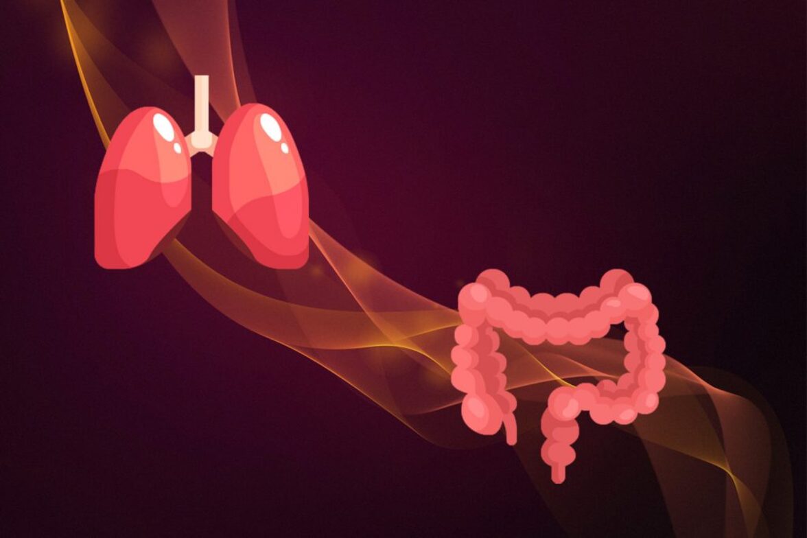 Кишечные бактероиды модулируют воспаление, системные цитокины и микробную экологию через пропионат