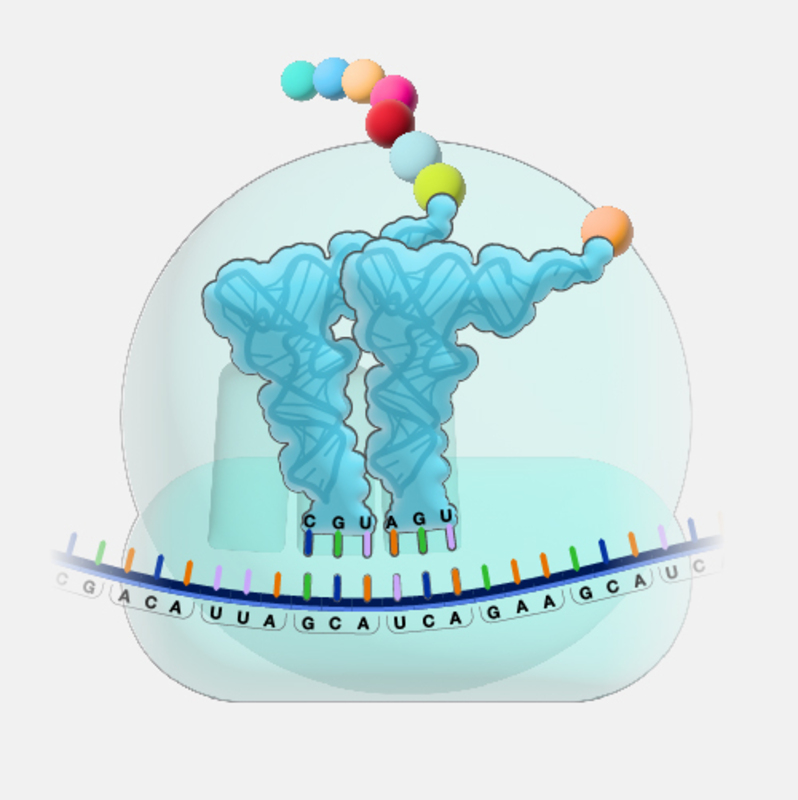 Новая отправная точка в борьбе с P. aeruginosa