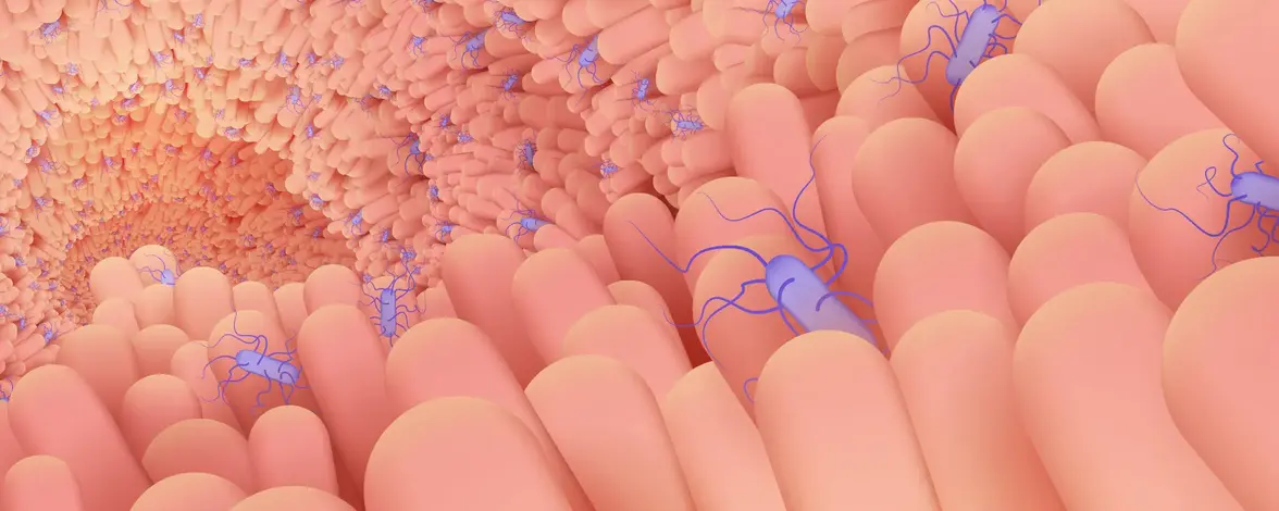 Клостридии нам в помощь