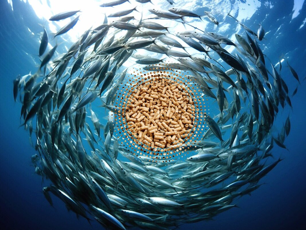 Белок гаприн на основе природного газа теперь будет стандартизирован