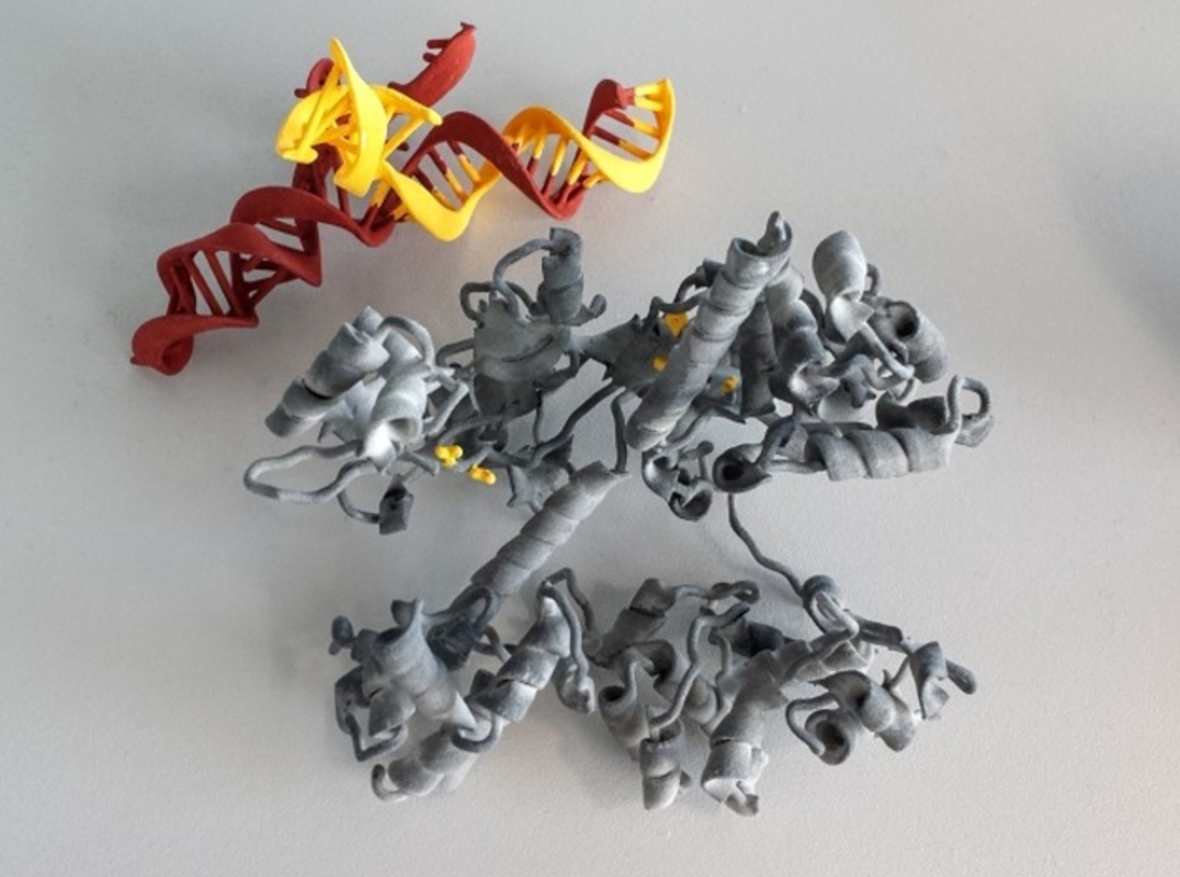 МEGA CRISPR: создание лучших иммунотерапий с помощью редактирования РНК