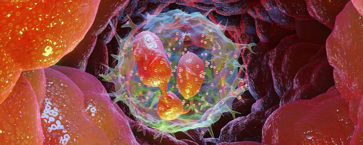 РНК на поверхности клеток помогает нейтрофилам передвигаться