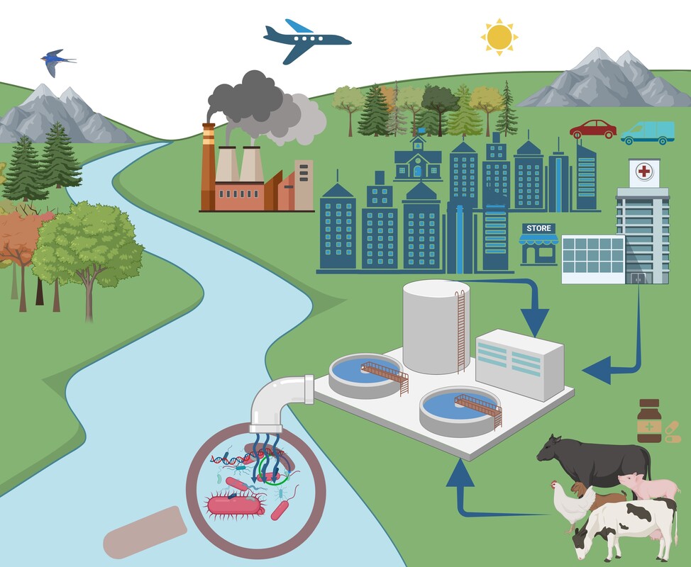 В сточных водах Москвы обнаружены микроорганизмы, устойчивые к большинству известных классов антибиотиков