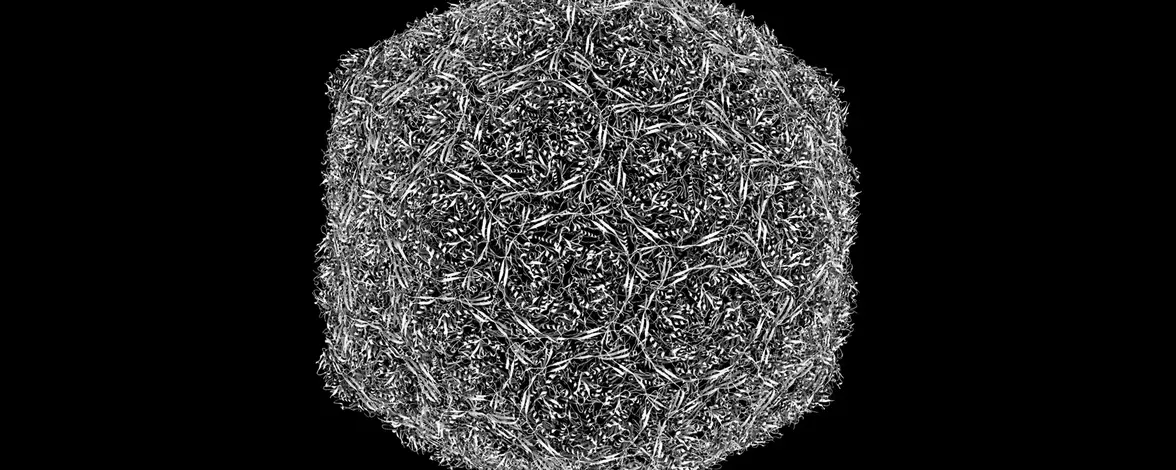 Виртуальные вирусы раскрывают сложную геномную динамику