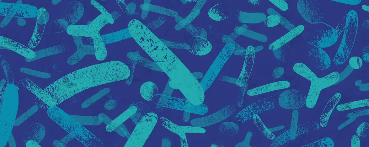 Исследуя микробную "темную материю"