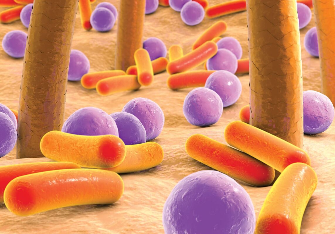 Открыт новый лантибиотик, производимый стафилококками