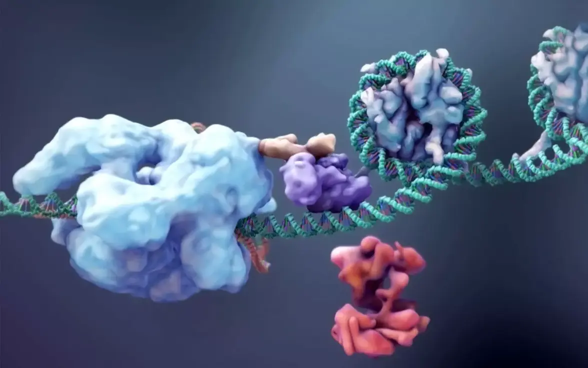 Новая система доставки препаратов дает надежду на лечение муковисцидоза