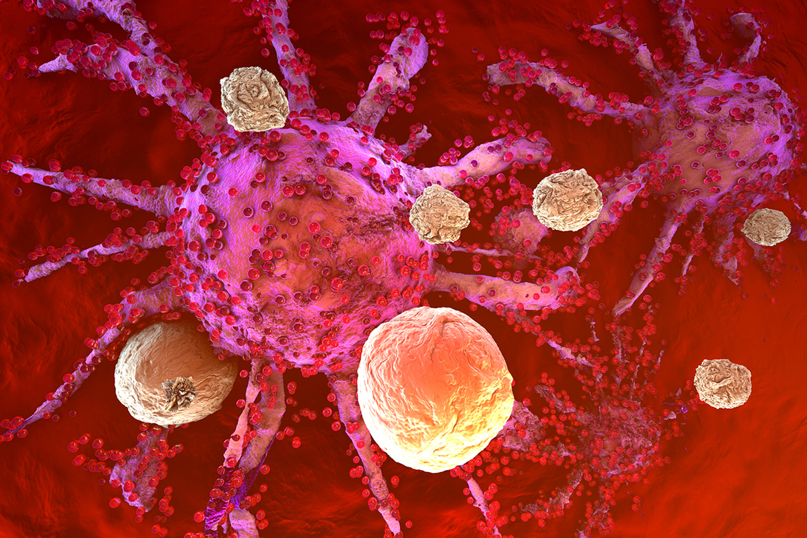 Иммунные клетки, находящиеся в режиме ожидания, постоянно стимулируются здоровыми тканями