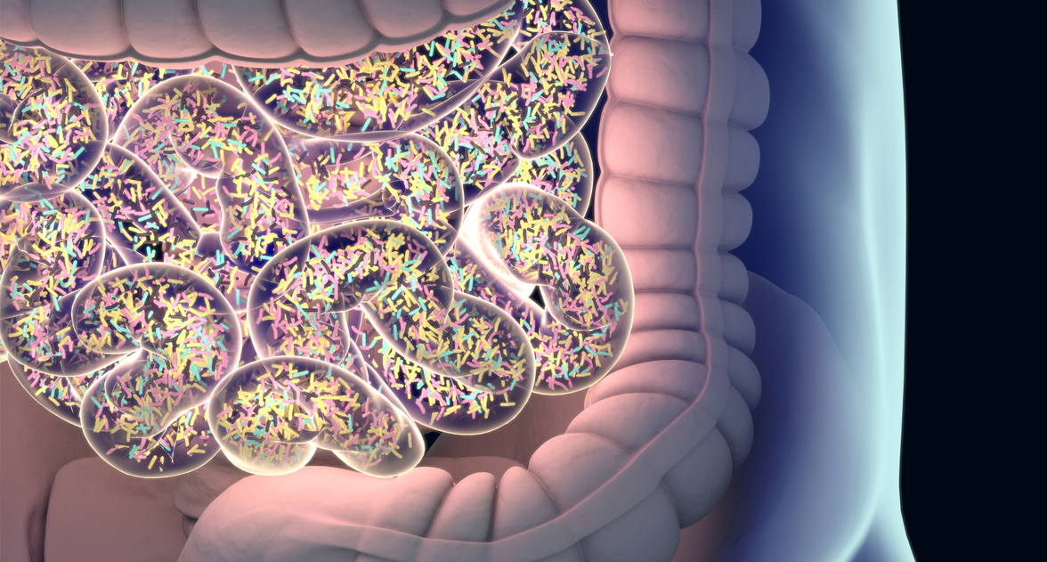 Кишечные вирусы влияют на поведенческие реакции и могут быть важными участниками оси «кишечник-мозг»