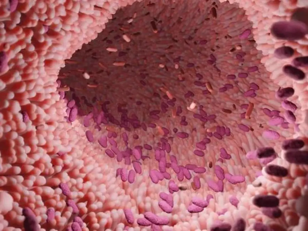 Изменения микробиома при раке пищевода: влияние на патогенез и прогноз