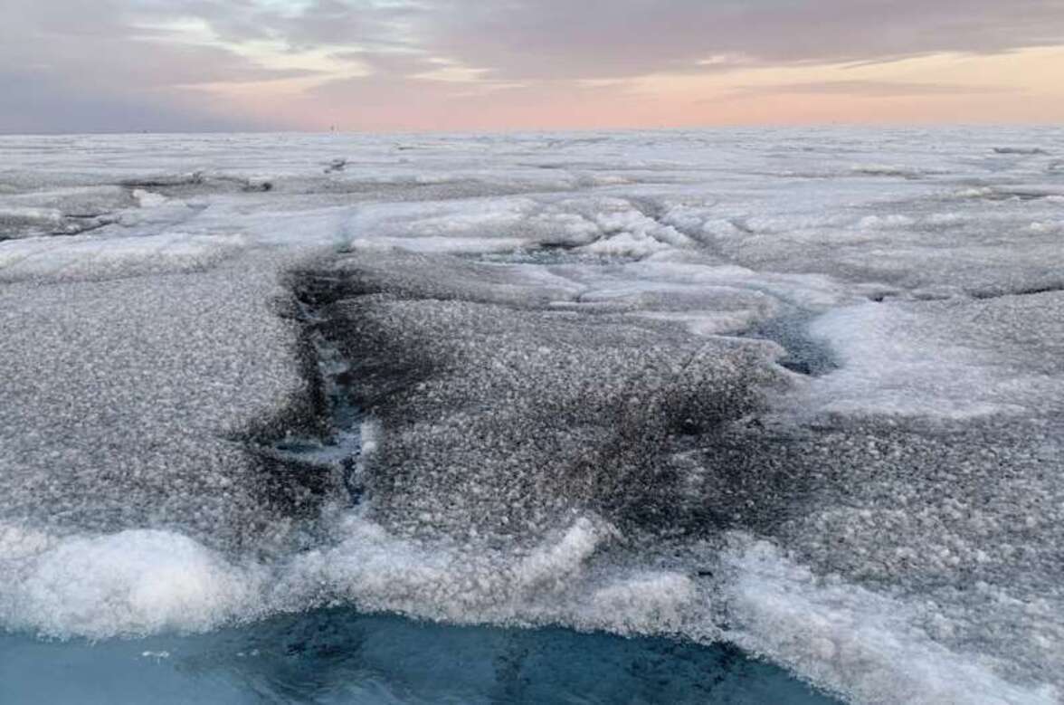 Гигантские вирусы, обнаруженные на ледяном щите Гренландии, могут уменьшить таяние льда