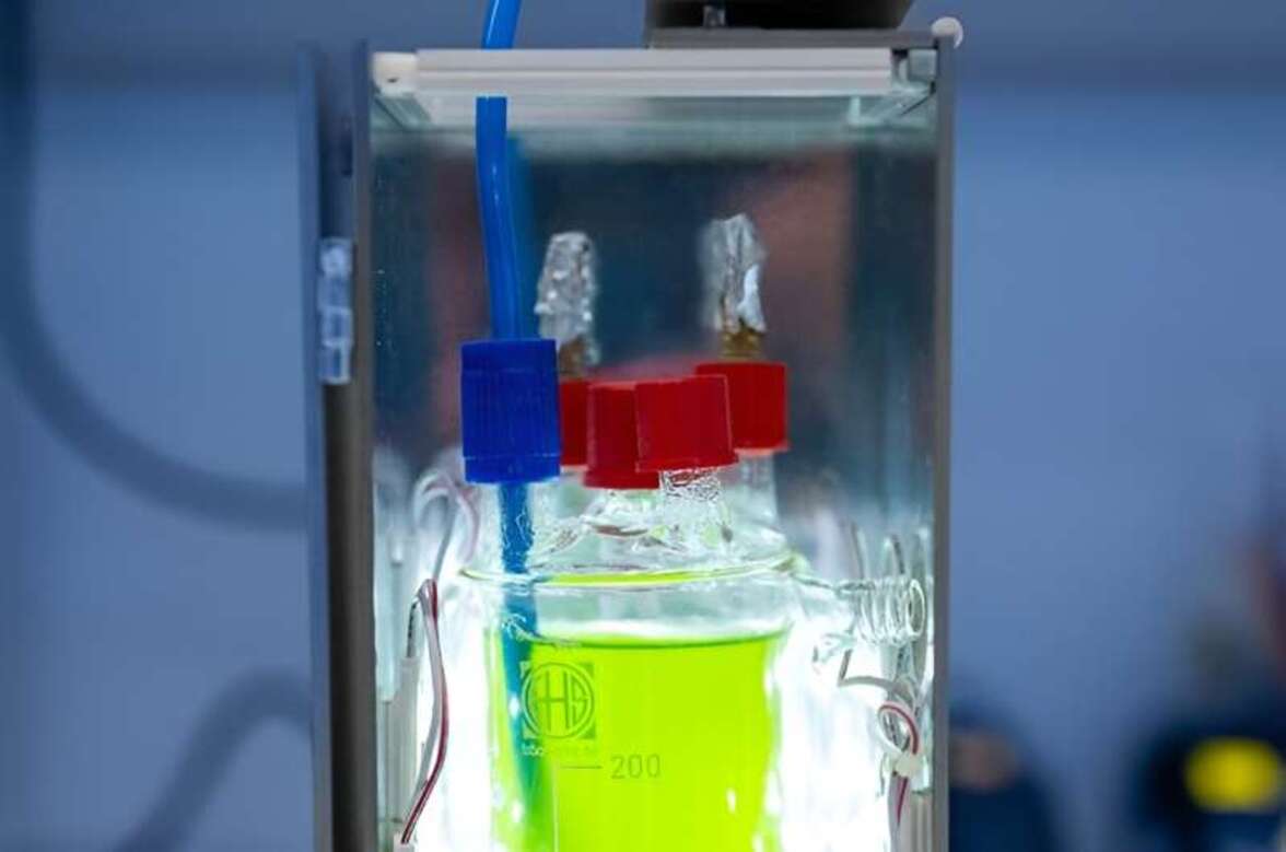 Создание биобетона и биогенных строительных материалов с помощью цианобактерий