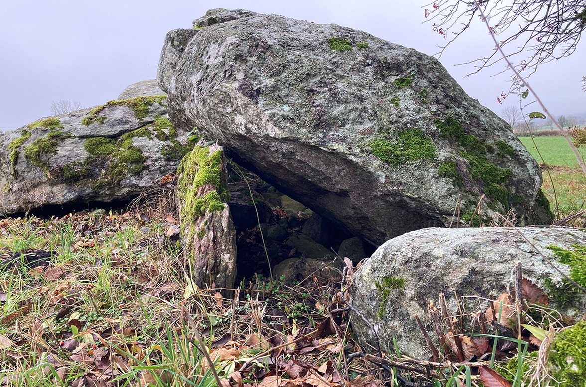 Чума уничтожала европейские семьи задолго до "Черной смерти"