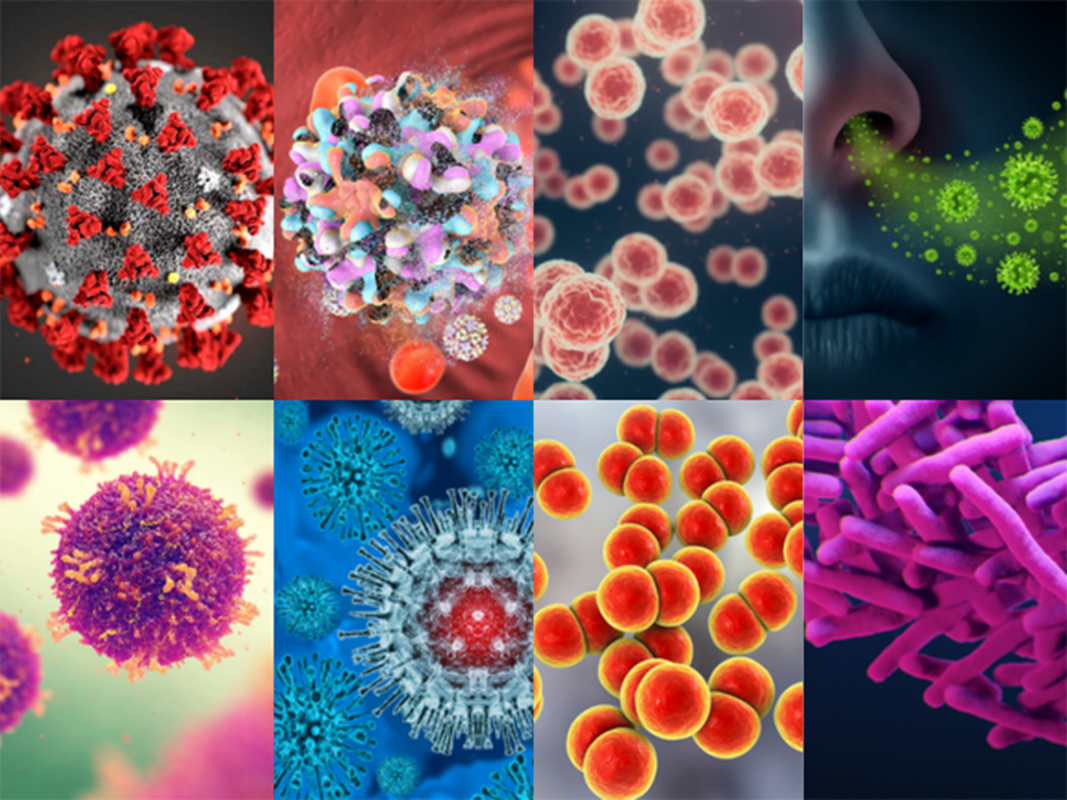 Новейшие открытия в области инфекционных патогенов и заболеваний