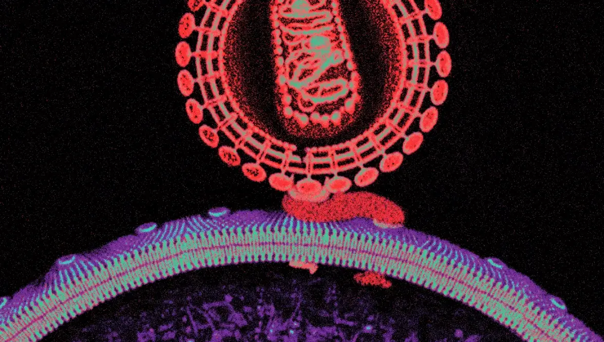 Окончательные результаты испытания подтверждают прорыв в профилактике ВИЧ-инфекций