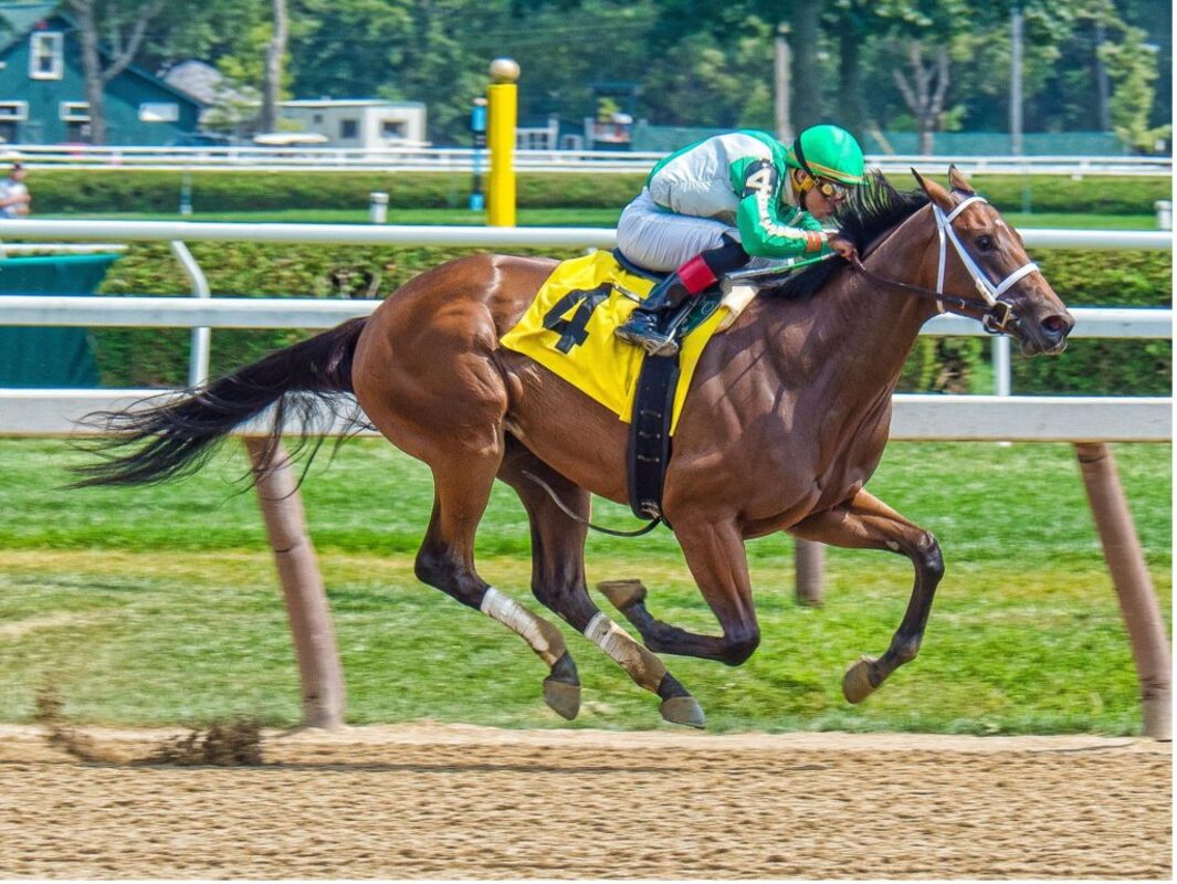 Структура сообщества бактерий кишечника в раннем возрасте предсказывает риск заболеваний и спортивные результаты у лошадей, выращенных для скачек