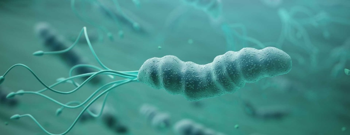 Новое руководство по лечению Helicobacter pylori включает изменение рекомендаций по первичной терапии