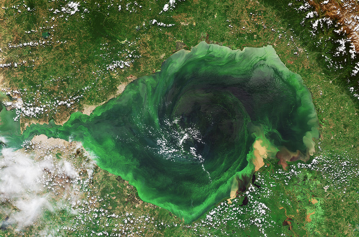 Цианобактерии предвидят холодную погоду и укрепляют свои мембраны от замерзания