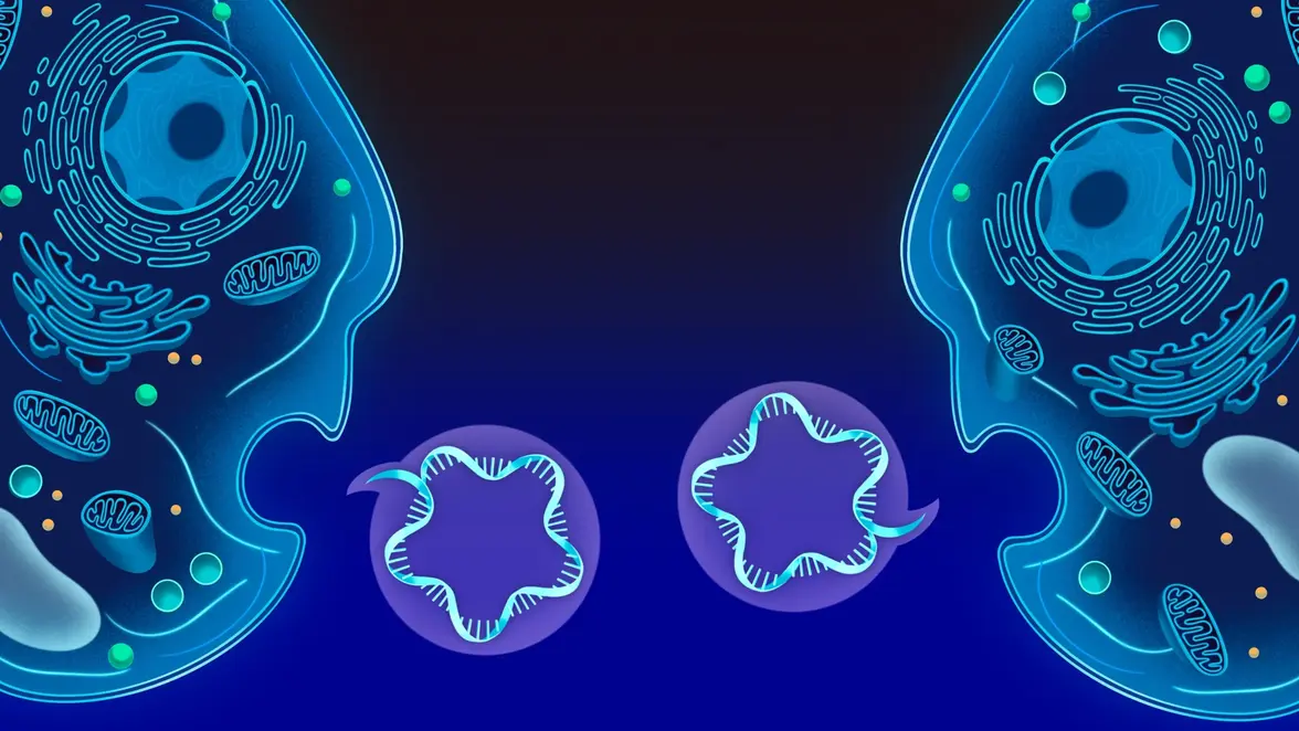 Клетки по всему древу жизни обмениваются «СМСками» с помощью РНК