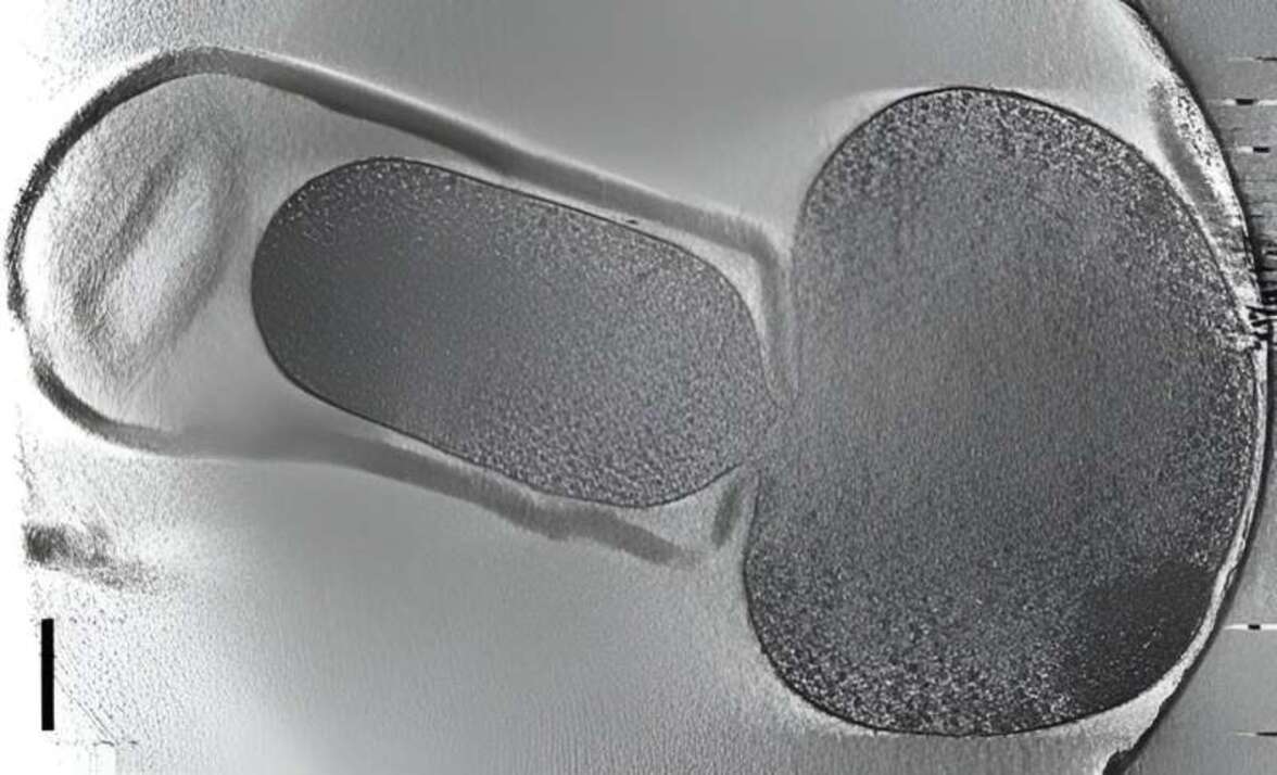 Водная среда способствует появлению у листерий покоящихся форм с дефицитом клеточной стенки