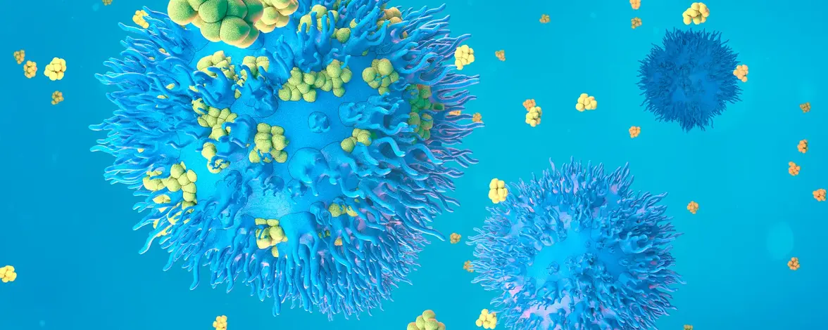 Клетки врожденного иммунитета развивают память с помощью маркера Т-клеток