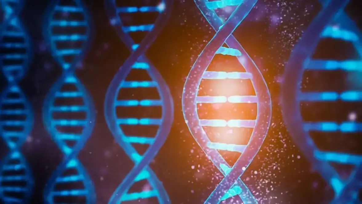 Усовершенствованный подход к геномике отдельных клеток позволяет картировать резистентность к антибиотикам