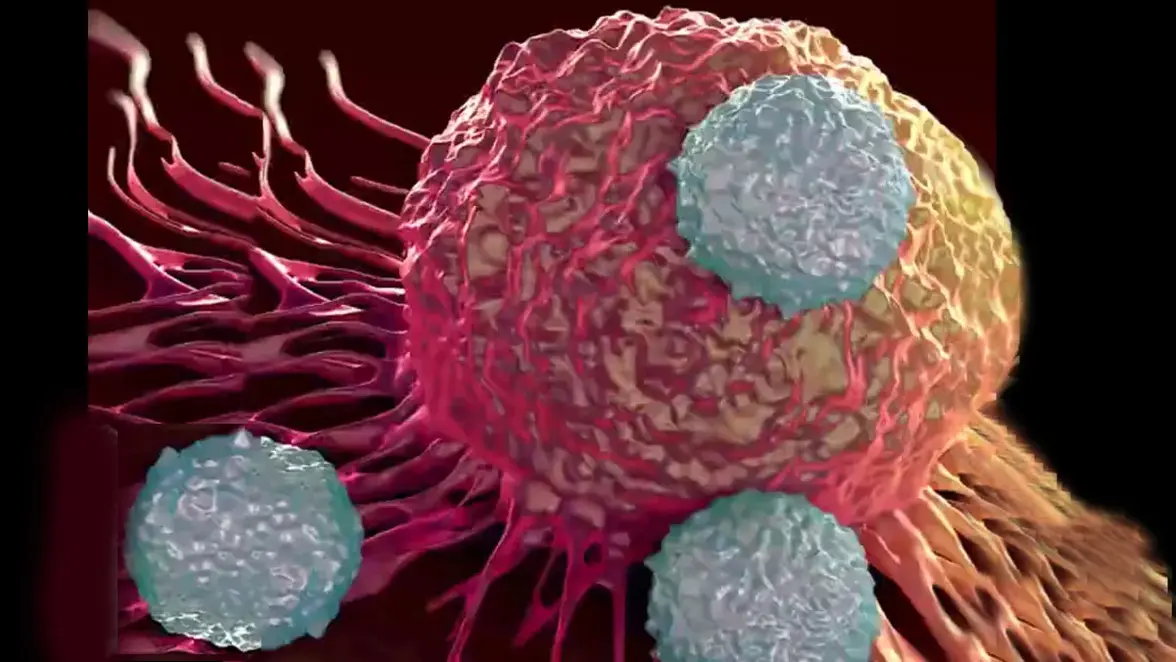 Инновационная терапия на основе бактерий показывает перспективность в борьбе с раком