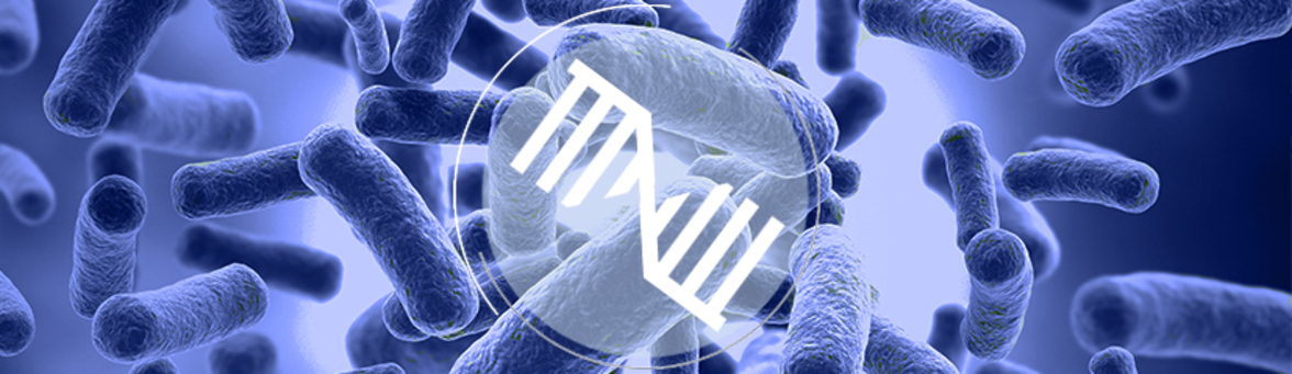 Клинический эксперимент по использованию транскрипционного профилирования бактерий в качестве комбинированного генотипического и фенотипического теста на чувствительность к противомикробным препаратам