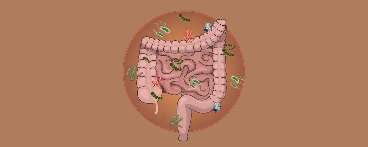 Гипоксия способствует здоровью кишечника