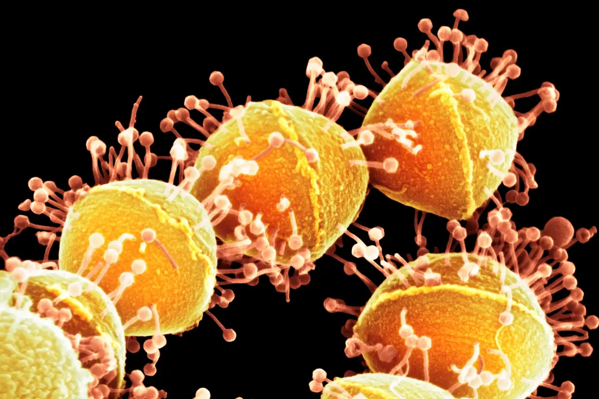 Благодаря борьбе с микроорганизмами мы получили CRISPR. Какие открытия могут быть следующими?