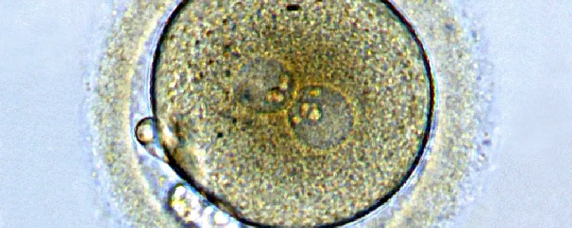 Открыт второй эпигенетический маркер ДНК