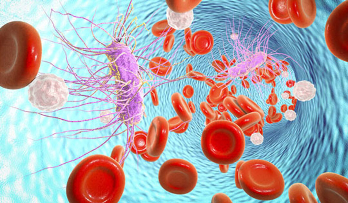 Обычный антидепрессант защищает органы от повреждений при сепсисе