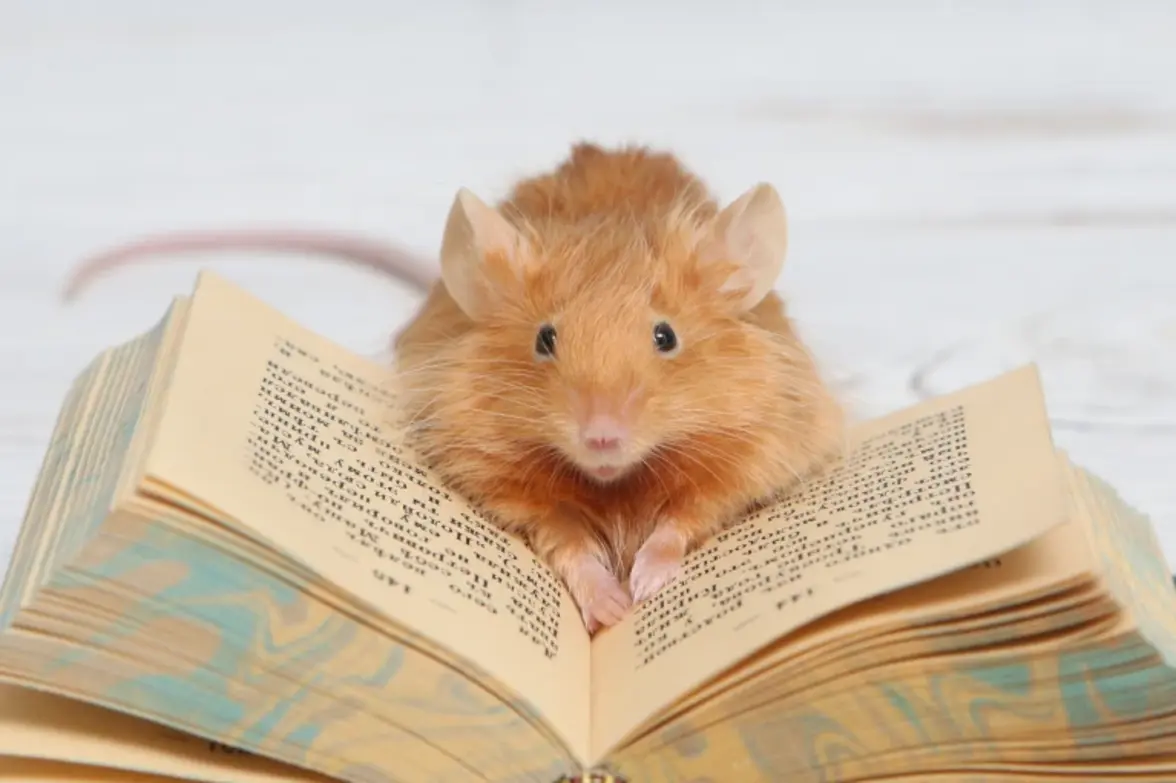 Опубликованы результаты эксперимента по вставке участка человеческой ДНК в генетический код мыши