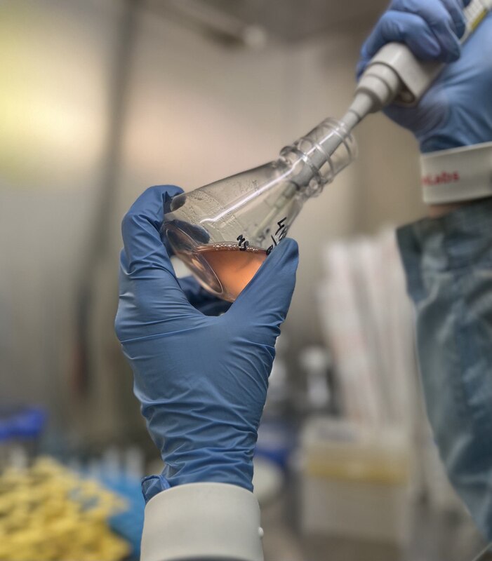 Созданы клетки-долгожители для промышленного применения