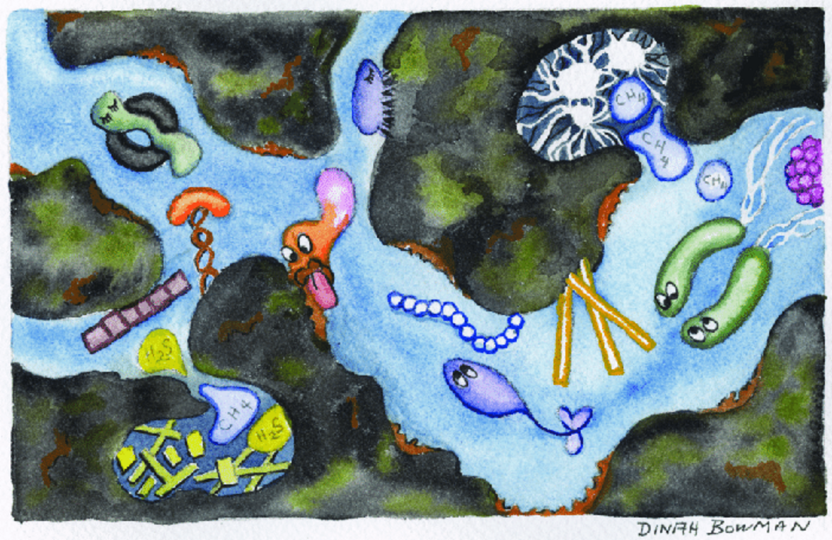 Микробиология глубинных недр 