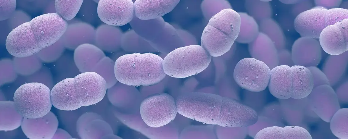 Бактерии подают сигнал тревоги в масштабе всей популяции, чтобы защититься от угроз