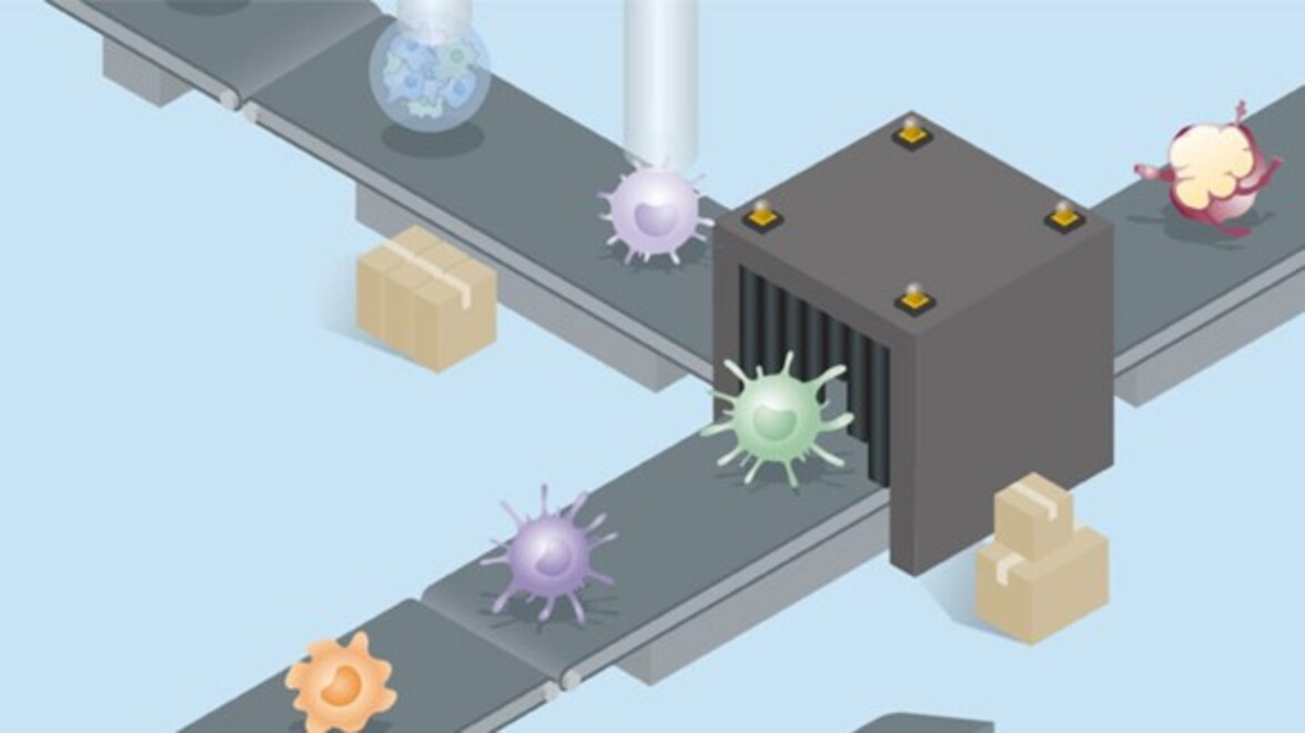 Иммуноинженерия: новое направление в лечении инфекционных заболеваний (полный текст статьи)