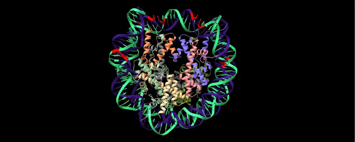 Наступает новая эра эпигенетических препаратов