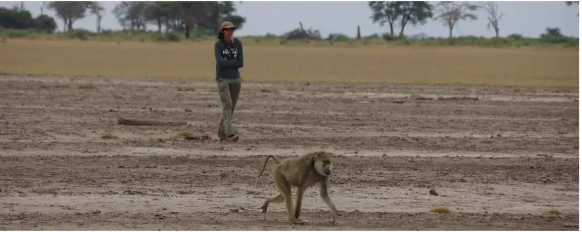 Микробы в экскрементах бабуинов дают ключ к пониманию процессов старения