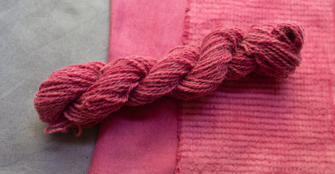 Грибок, а не его насекомое-хозяин, окрашивает мир в красный цвет