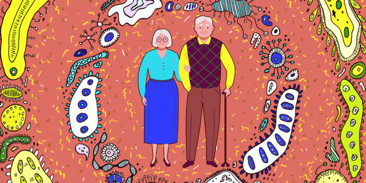 Старение и микробиом