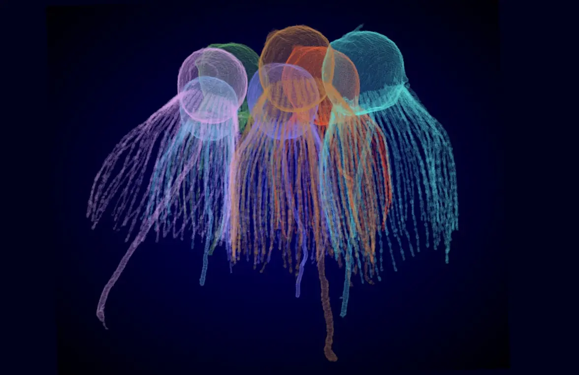 Как жизнь стала многоклеточной? Ответ могут дать пять простых организмов