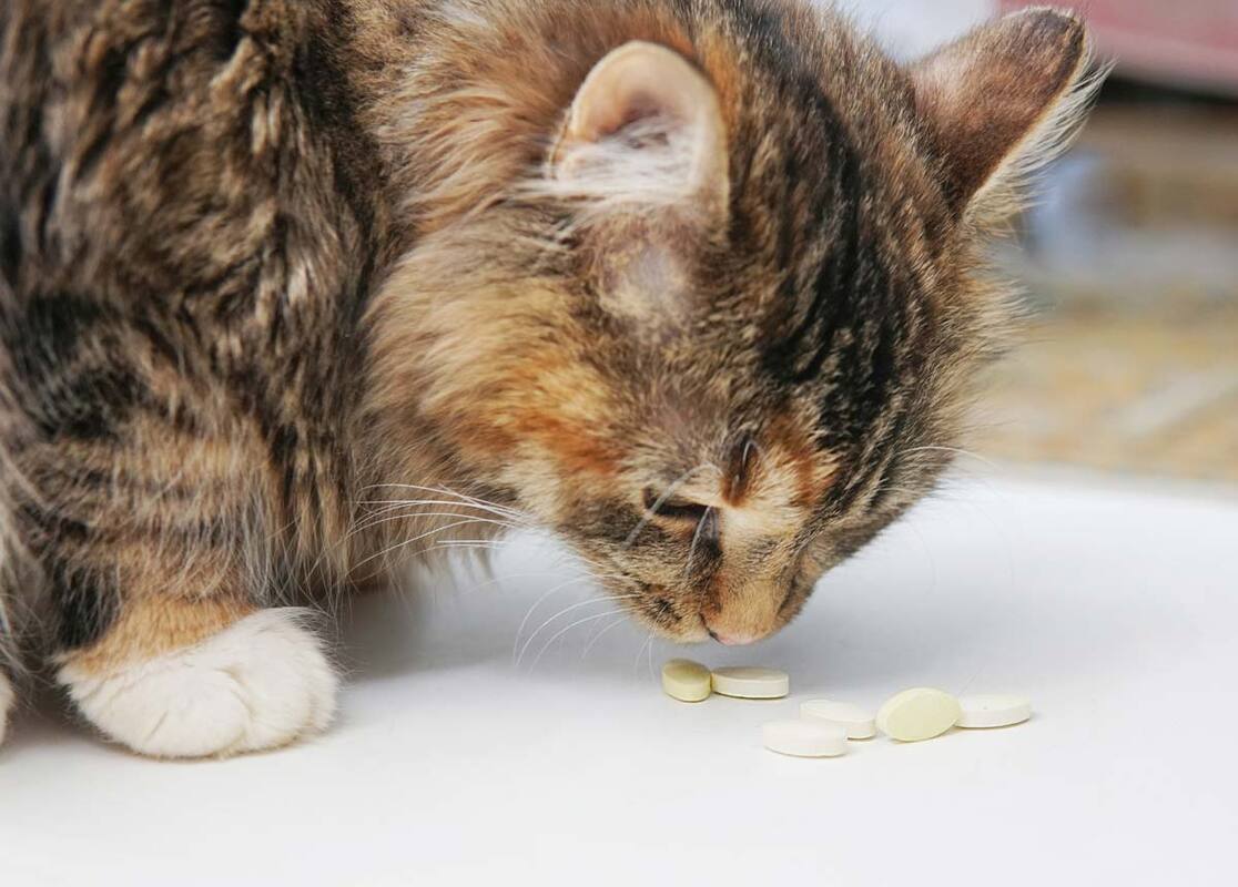 Запахло неприятностями