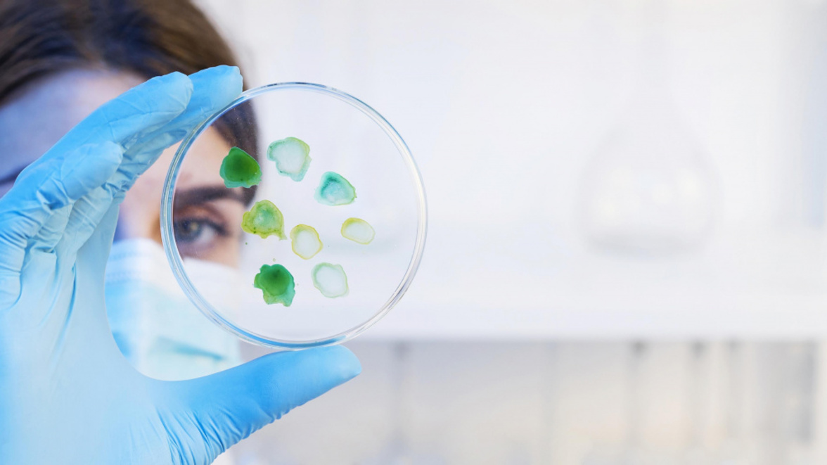 Утверждена программа развития Центра генетических ресурсов микроорганизмов