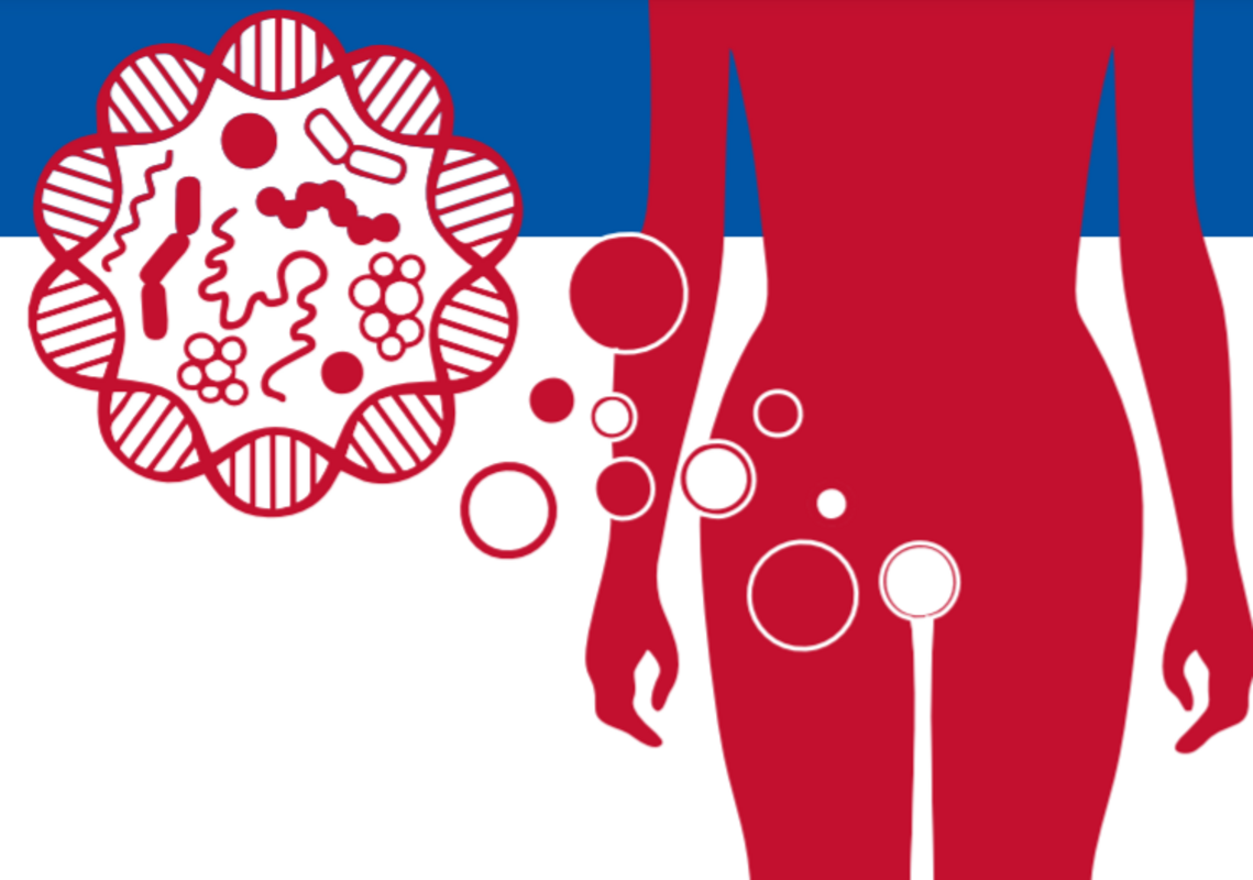 Что собой представляет здоровый вагинальный микробиом