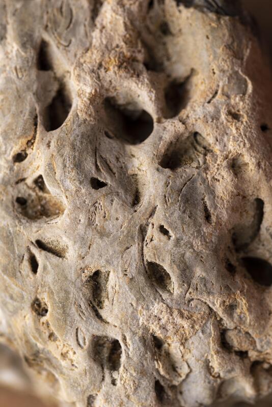 Марсианские минералы указывают на возможные признаки древней жизни